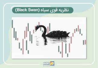 نظریه قوی سیاه (Black Swan)